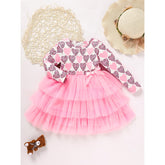 Toddler Girls Outfits Long Sleeve Graphic Heart Print Mesh Tulle Dress Valentine Birthday Party Dresses